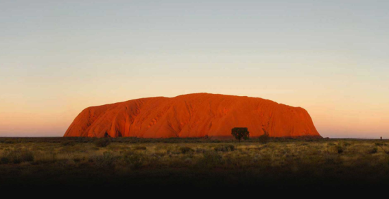 The Royals wins $1.5m Northern Territory master brand account