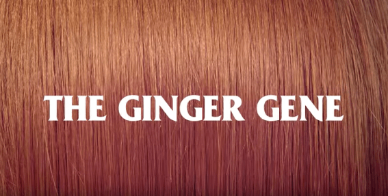 CUB’s Ginger Gene ad banned for ‘vilifying’ red heads