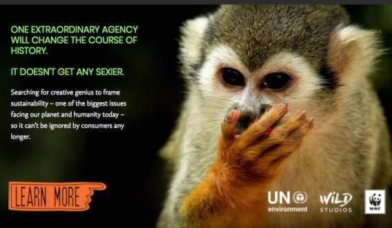 WWF and UN challenges creative agencies in Project Extraordinary sustainability competition