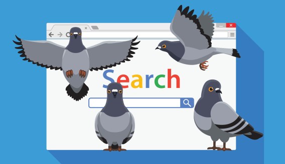 The weird world of SEO is even weirder after Google’s algorithm change