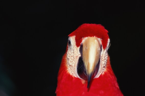 Voice control: why AI must resist our bad habit of stereotyping human speech