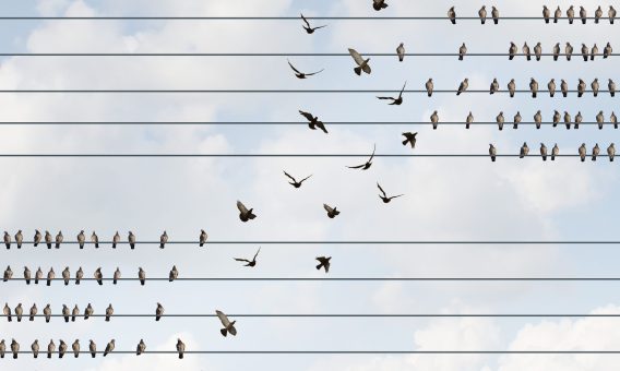 Stop spending money on retention and start focussing on acquisition