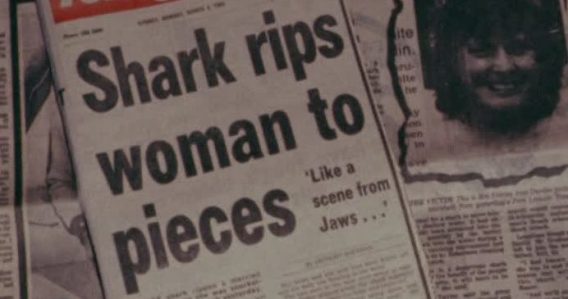 Feeding frenzy: public accuse the media of deliberately fuelling shark fear