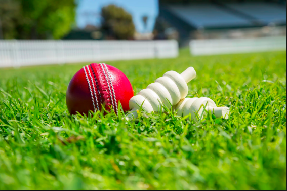Domain signs up for Cricket naming rights sponsorship