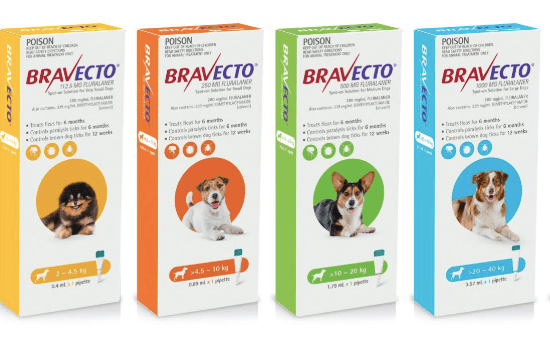 JWT wins creative account for pet care brand Bravecto