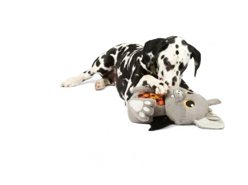 Petbarn appoints With Collective as creative agency of record