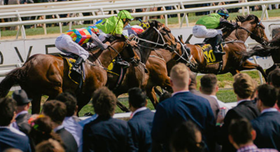Thinkerbell wins Melbourne Racing Club’s media account from Vizeum