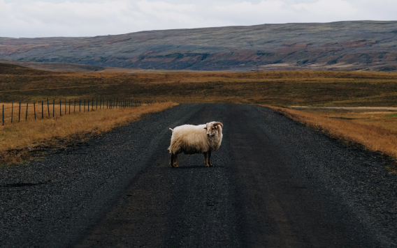 The four roads of customer service: be clear about which one you’re on