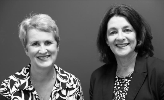 Bastion Collective acquires social research company Stable Research