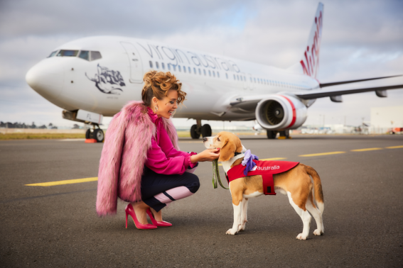 On the offensive: Why Virgin Australia gets called a publicity hound