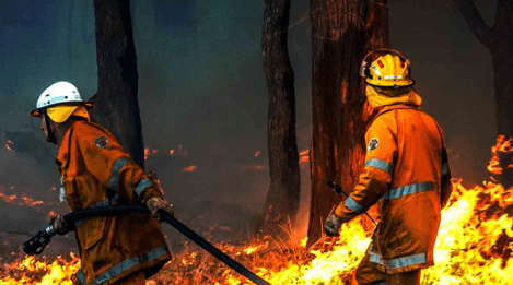 Department of Fire and Emergency Services seeks full-service agency in WA