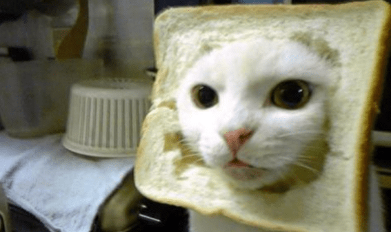 RIP listicles: Resurrecting quality content in the wake of Buzzfeed’s fall