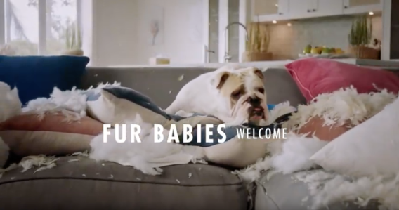Bonds opens annual Bonds Baby Search competition with ‘share the love’ campaign