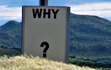 What exactly is the purpose of purpose?