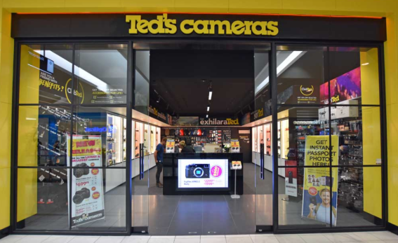 Yoghurt Digital wins Ted’s Cameras’ SEO account