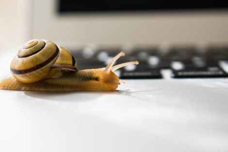 Slow media: how to renew debate in the age of digital authoritarianism