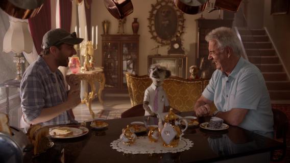 Meerkats learn about ‘shoeys’ and Aussie slang in Compare the Market campaign