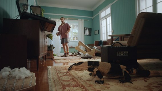 Goannas, cane toads and giant mud crabs wreak havoc in Queensland in Suncorp Insurance campaign