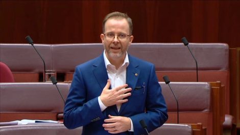 Liberal Democrats senator calls for abolition of election advertising black out