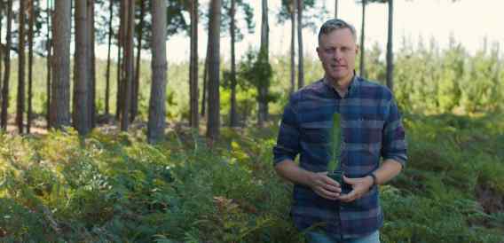 Grand Designs Australia host Peter Maddison stars in ad promoting sustainability of wood products