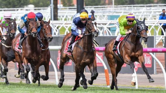 Ten signs deal with Sky Racing to expand horse racing coverage