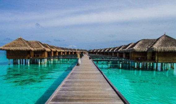 Visit Maldives appoints Anne Wild and Associates to PR account