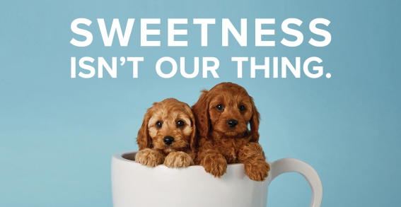 Almond Breeze uses puppies and kittens to state ‘Sweetness isn’t our thing’ in ads for its Barista Blend
