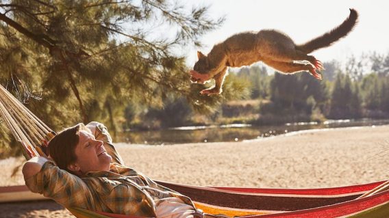 Ferocious possum, poisonous berries and swarm of bees feature in new BCF campaign via The Monkeys