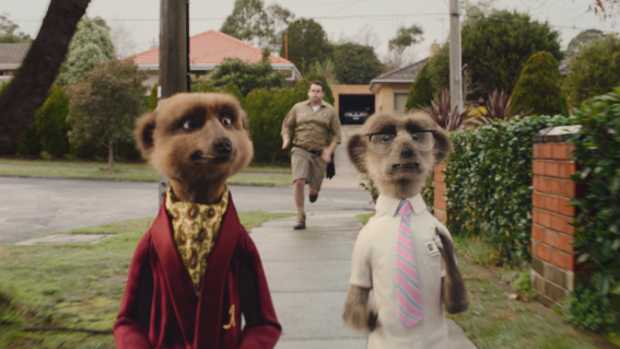 Meerkats Aleksandr and Sergei narrowly escape death in latest Compare the Market ad