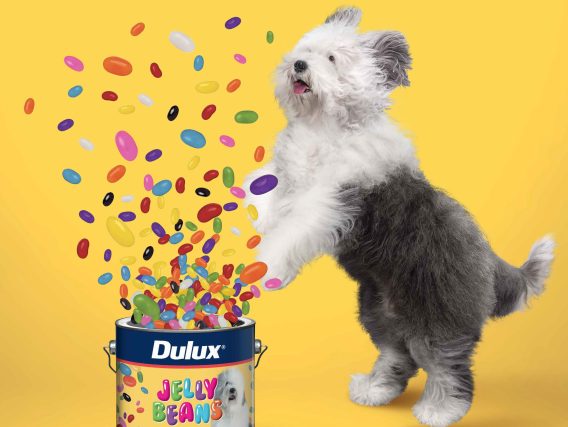 Dulux Group pitches media account, appoints DDB to creative portfolio for paints business