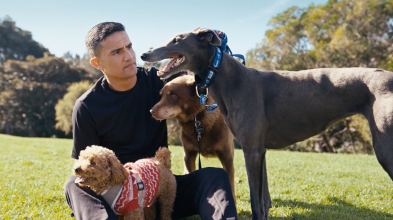 Greyhound Racing NSW recruits Tim Cahill to raise awareness of retired animal adoption