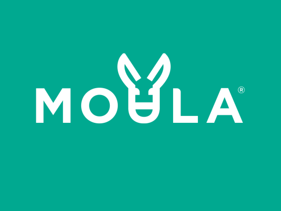 Fintech business Moula appoints Keep Left to its public relations account