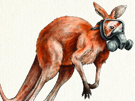 Sendle creates stickers of Aussie animals wearing gas masks to challenge Australia Post’s carbon offset announcement
