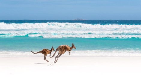 Tourism Australia appoints OPR to PR account