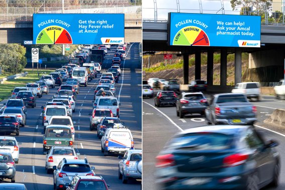 Amcal Pharmacy launches live pollen count billboards to help hay fever sufferers
