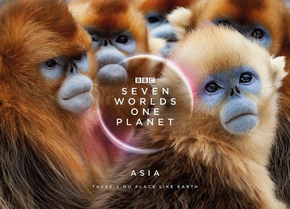 Nine signs partnership with BBC Studios for natural history programming