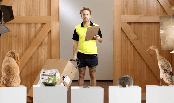 Koala celebrates customer satisfaction award with Ian ‘Huey’ Hewitson and a bunch of animals