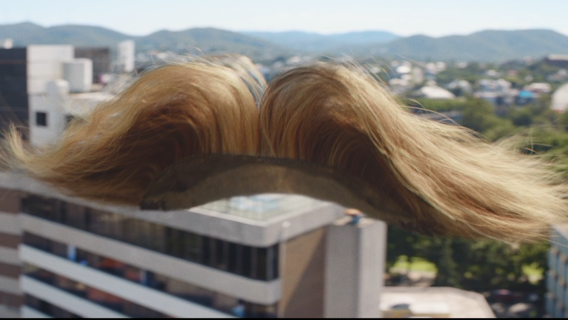 Virgin Australia introduces ‘Wiggy’, a flying toupee, as it moves away from focus on flight attendants