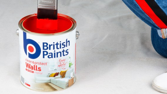 Mango becomes the PR agency of record for British Paints
