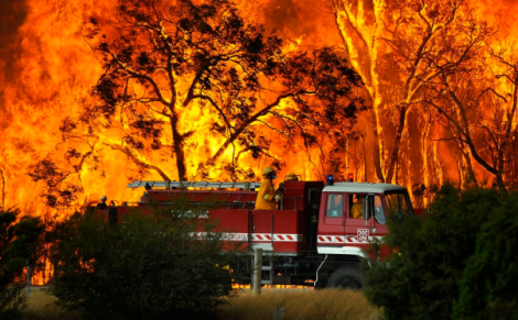 ‘Creatives For Bushfires’ initiative seeks to match agencies with businesses in need