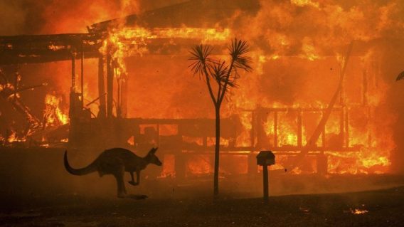 Adland: Please give your teams the space to feel sad during this bushfire crisis