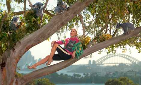 Tourism Australia will redeploy international marketing and promote domestic tourism thanks to $76m government grant