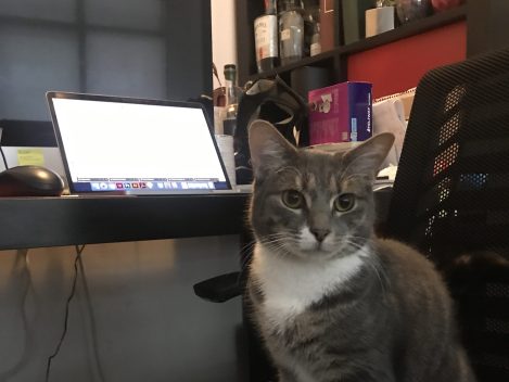 WFH has given me a window into my team’s lives