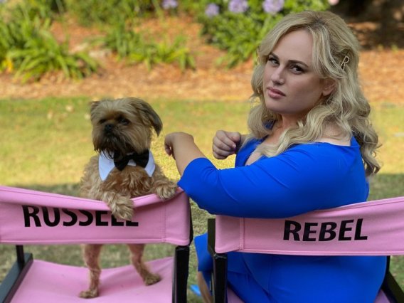 Pooch Perfect slips to 388,000 metro viewers for episode three