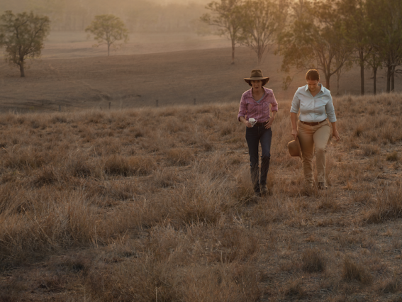 Suncorp reveals brand platform ‘That’s the Suncorp Spirit’
