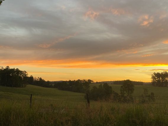 I moved to Sydney for my first media job. Then, COVID-19 hit and sent me off the grid