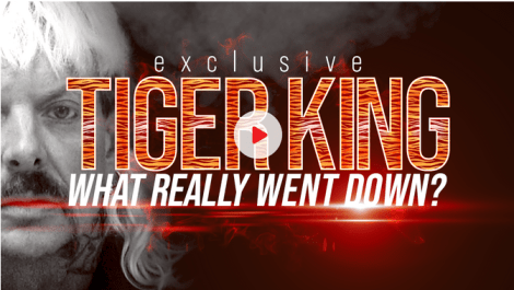 Seven to air Tiger King special revealing ‘what really went down’
