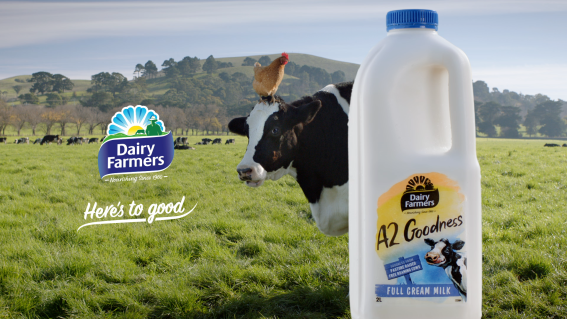 Bega Group takes Dairy Farmers creative account to pitch