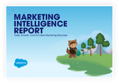 salesforce marketing intelligence report