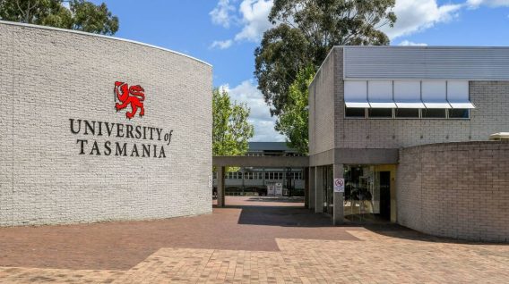 University of Tasmania appoints indie Pivotus to media account